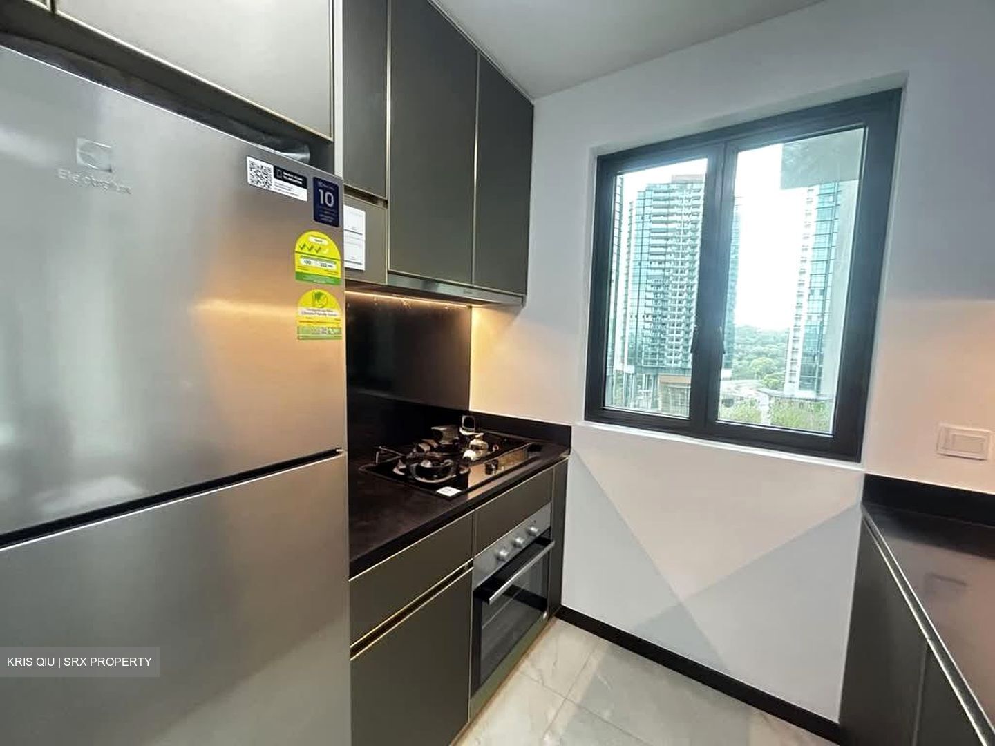 Normanton Park (D5), Apartment #565839541